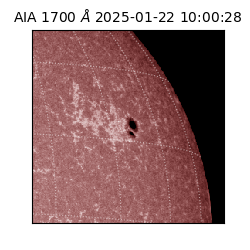 saia - 2025-01-22T10:00:28.718000