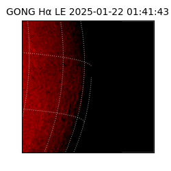 gong - 2025-01-22T01:41:43