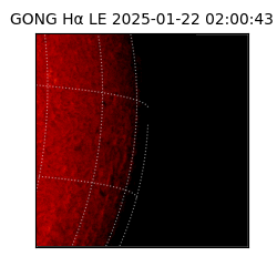 gong - 2025-01-22T02:00:43