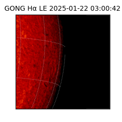 gong - 2025-01-22T03:00:42