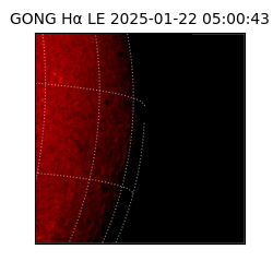 gong - 2025-01-22T05:00:43