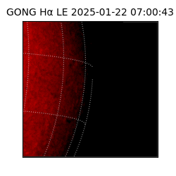 gong - 2025-01-22T07:00:43