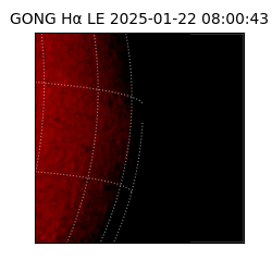 gong - 2025-01-22T08:00:43