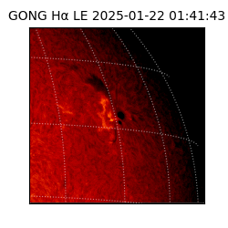 gong - 2025-01-22T01:41:43