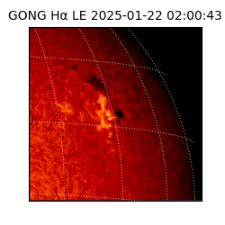 gong - 2025-01-22T02:00:43