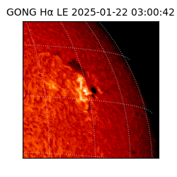 gong - 2025-01-22T03:00:42