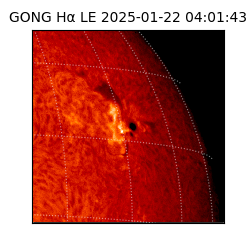 gong - 2025-01-22T04:01:43