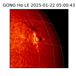 gong - 2025-01-22T05:00:43