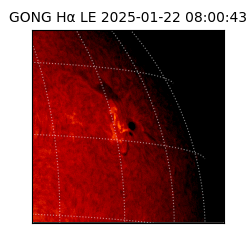 gong - 2025-01-22T08:00:43