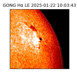 gong - 2025-01-22T10:03:43