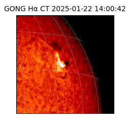gong - 2025-01-22T14:00:42