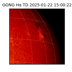 gong - 2025-01-22T15:00:22