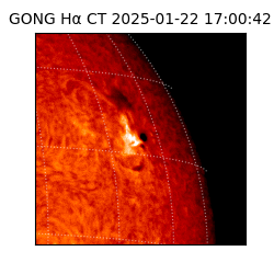 gong - 2025-01-22T17:00:42