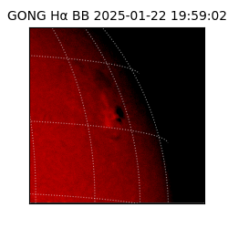 gong - 2025-01-22T19:59:02
