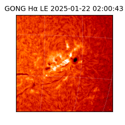 gong - 2025-01-22T02:00:43