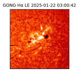 gong - 2025-01-22T03:00:42