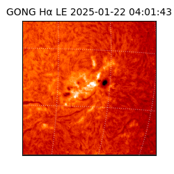 gong - 2025-01-22T04:01:43