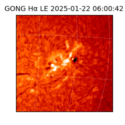 gong - 2025-01-22T06:00:42