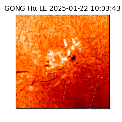 gong - 2025-01-22T10:03:43