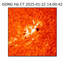 gong - 2025-01-22T14:00:42