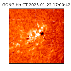 gong - 2025-01-22T17:00:42