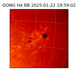 gong - 2025-01-22T19:59:02