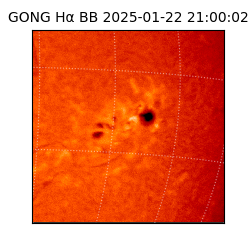 gong - 2025-01-22T21:00:02