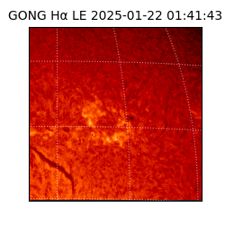 gong - 2025-01-22T01:41:43