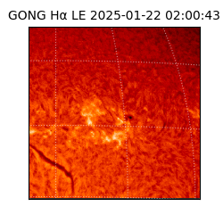 gong - 2025-01-22T02:00:43