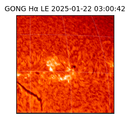 gong - 2025-01-22T03:00:42