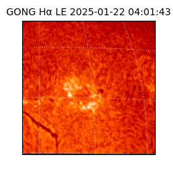gong - 2025-01-22T04:01:43