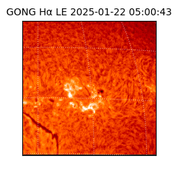 gong - 2025-01-22T05:00:43