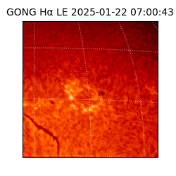 gong - 2025-01-22T07:00:43