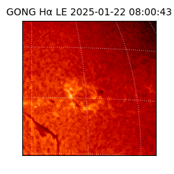 gong - 2025-01-22T08:00:43