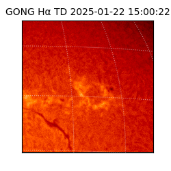 gong - 2025-01-22T15:00:22