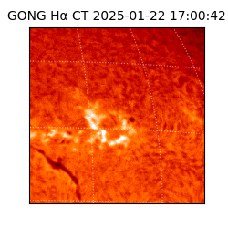 gong - 2025-01-22T17:00:42