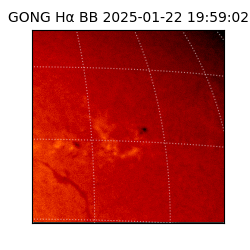 gong - 2025-01-22T19:59:02