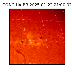 gong - 2025-01-22T21:00:02