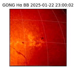 gong - 2025-01-22T23:00:02