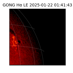 gong - 2025-01-22T01:41:43