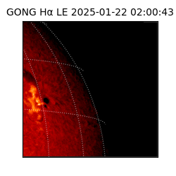 gong - 2025-01-22T02:00:43