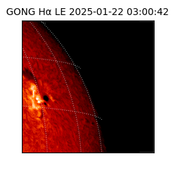 gong - 2025-01-22T03:00:42