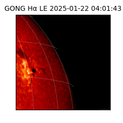 gong - 2025-01-22T04:01:43