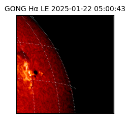 gong - 2025-01-22T05:00:43