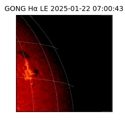 gong - 2025-01-22T07:00:43