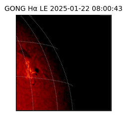 gong - 2025-01-22T08:00:43