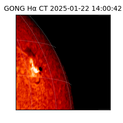 gong - 2025-01-22T14:00:42