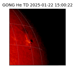 gong - 2025-01-22T15:00:22
