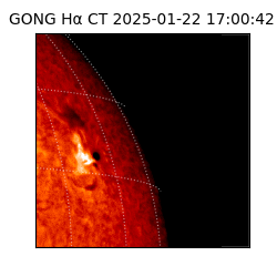gong - 2025-01-22T17:00:42