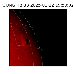 gong - 2025-01-22T19:59:02